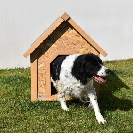 Casota de madeira NATURA para cães