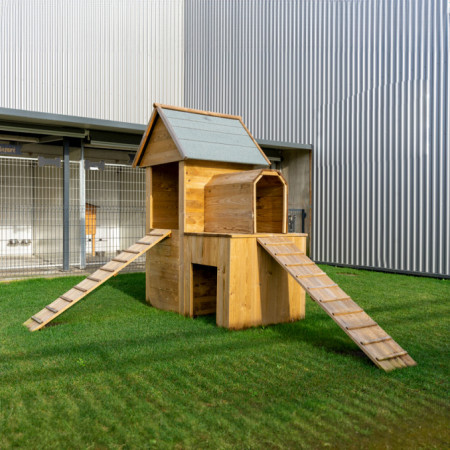 Playground de madeira para cães